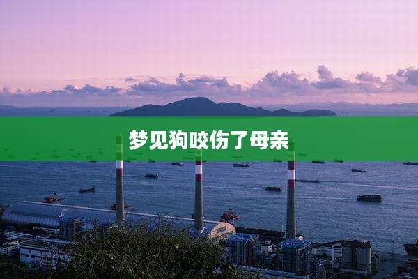 梦见狗咬伤了母亲
