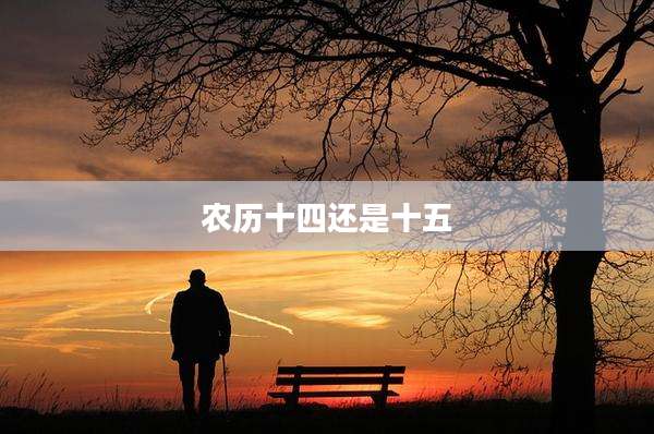 农历十四还是十五