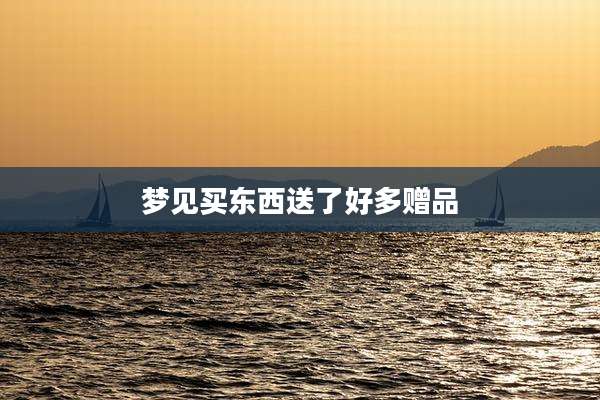 梦见买东西送了好多赠品
