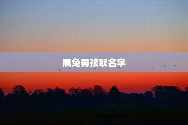属兔男孩取名字