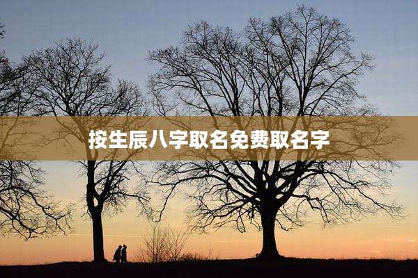 按生辰八字取名免费取名字
