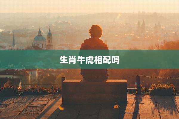 生肖牛虎相配吗