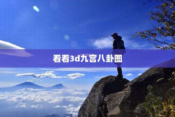 看看3d九宫八卦图