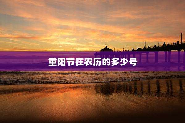 重阳节在农历的多少号