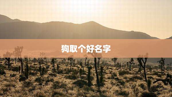 狗取个好名字