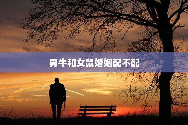 男牛和女鼠婚姻配不配