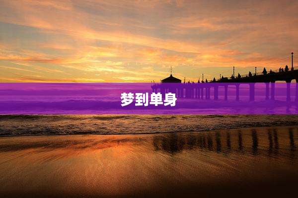 梦到单身