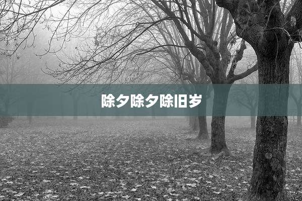 除夕除夕除旧岁