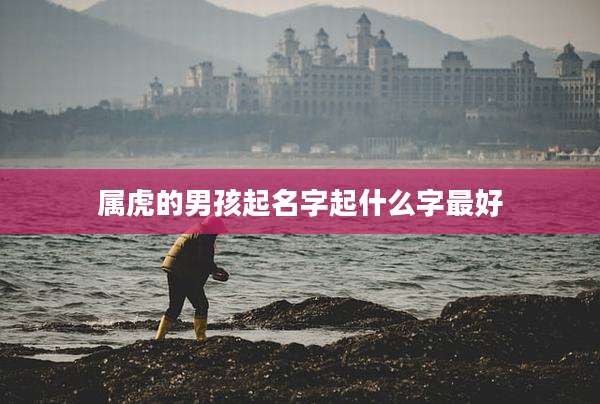 属虎的男孩起名字起什么字最好