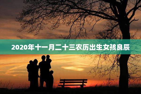 2020年十一月二十三农历出生女孩良辰