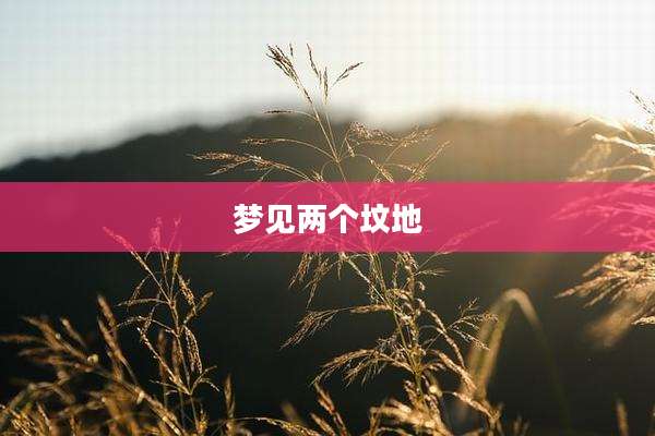 梦见两个坟地