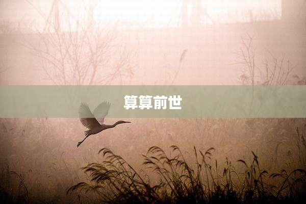 算算前世