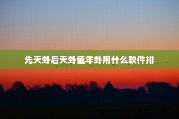 先天卦后天卦值年卦用什么软件排