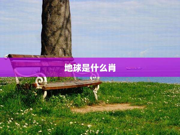 地球是什么肖