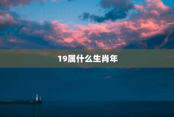 19属什么生肖年