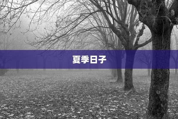 夏季日子