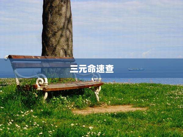 三元命速查