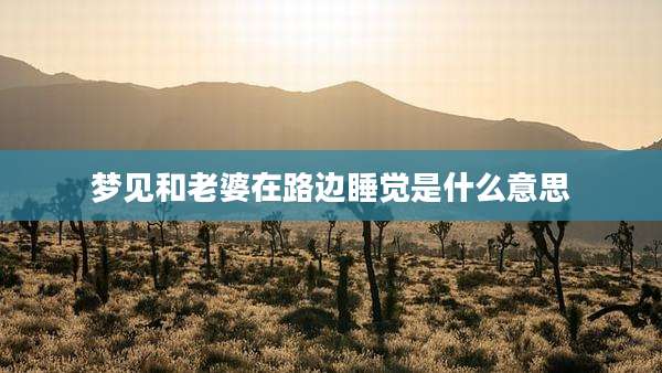 梦见和老婆在路边睡觉是什么意思