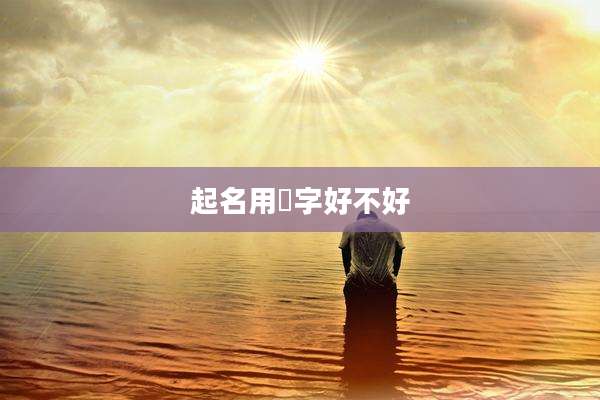 起名用湳字好不好