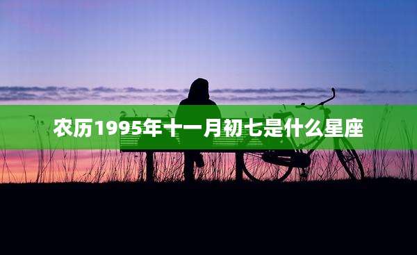 农历1995年十一月初七是什么星座