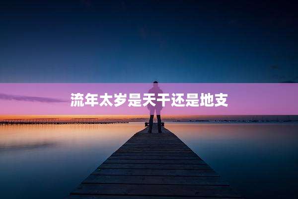 流年太岁是天干还是地支