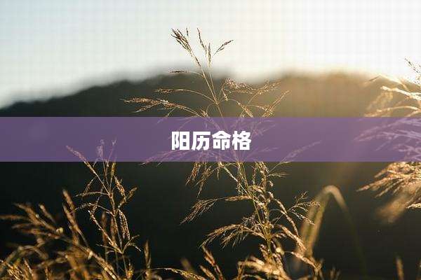 阳历命格