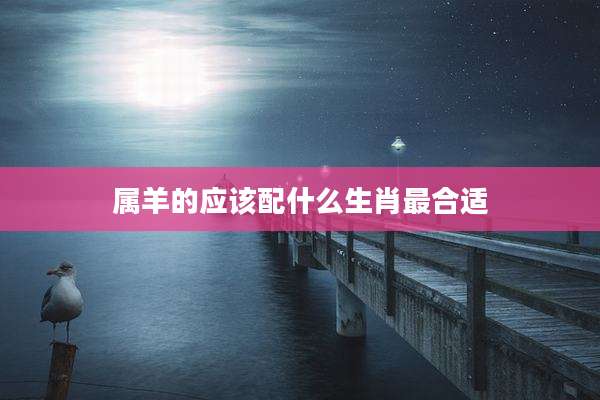 属羊的应该配什么生肖最合适