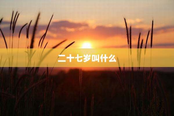二十七岁叫什么