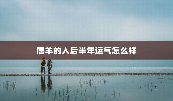 属羊的人后半年运气怎么样