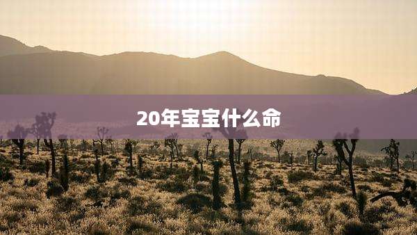 20年宝宝什么命