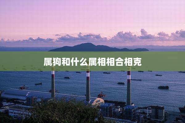 属狗和什么属相相合相克