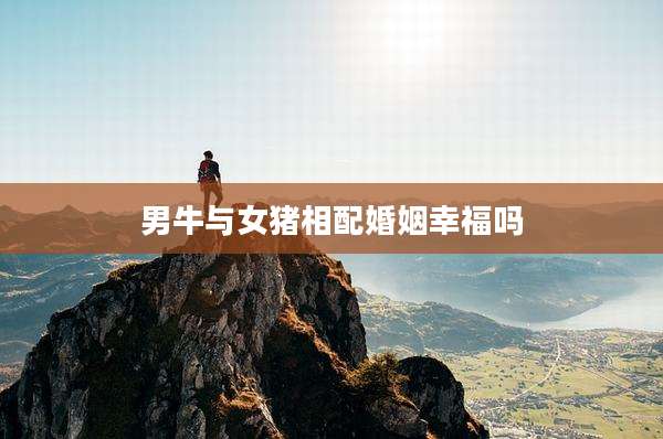 男牛与女猪相配婚姻幸福吗