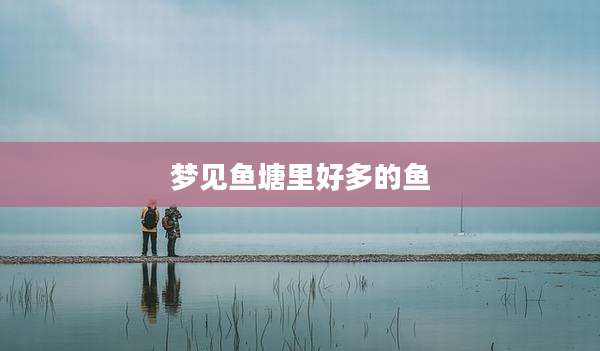 梦见鱼塘里好多的鱼