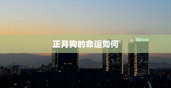 正月狗的命运如何
