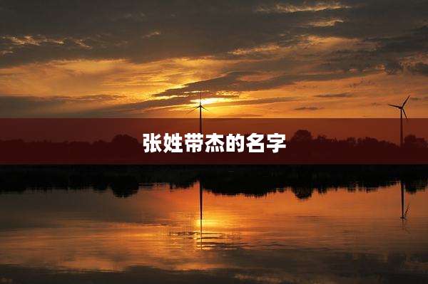 张姓带杰的名字
