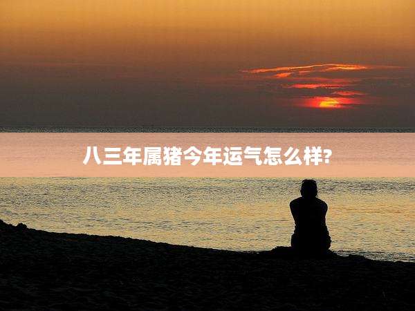 八三年属猪今年运气怎么样?