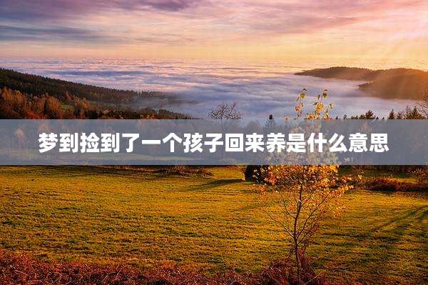 梦到捡到了一个孩子回来养是什么意思