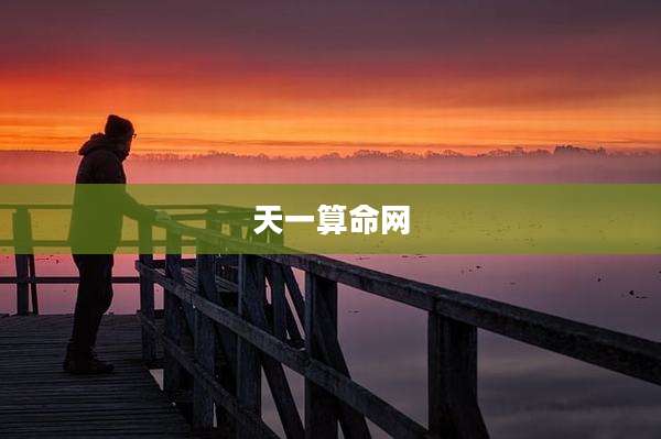 天一算命网