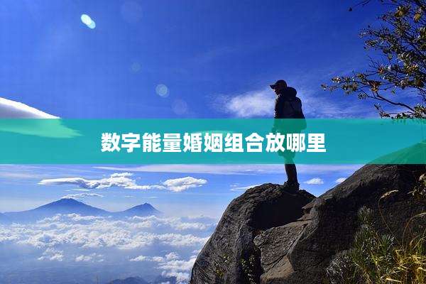 数字能量婚姻组合放哪里