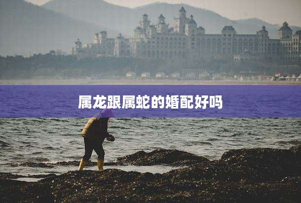 属龙跟属蛇的婚配好吗