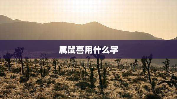 属鼠喜用什么字
