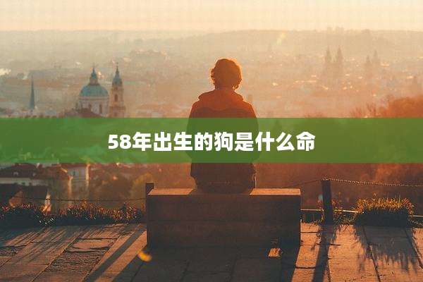 58年出生的狗是什么命