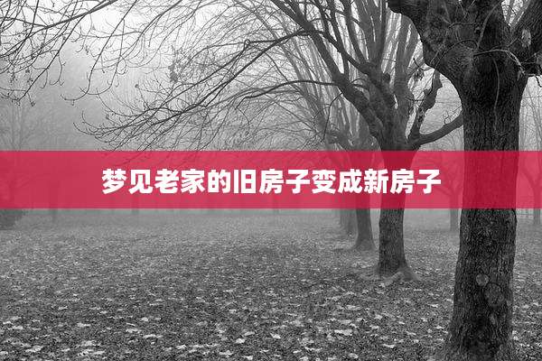 梦见老家的旧房子变成新房子