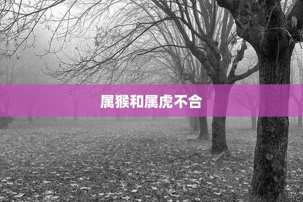 属猴和属虎不合