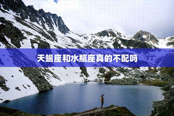 天蝎座和水瓶座真的不配吗
