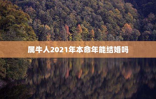 属牛人2021年本命年能结婚吗