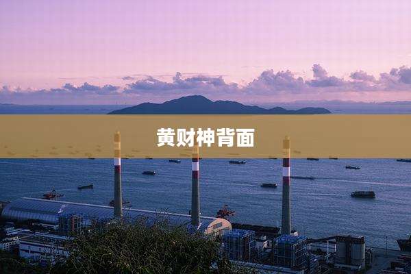 黄财神背面