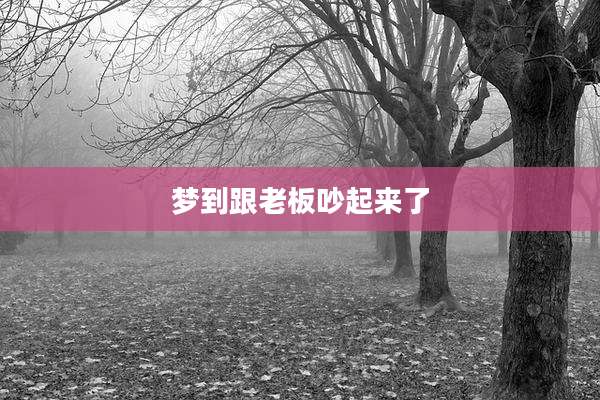 梦到跟老板吵起来了