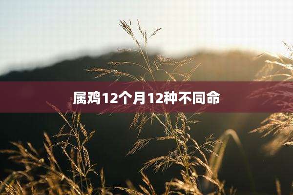 属鸡12个月12种不同命
