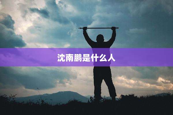 沈南鹏是什么人